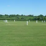 cricket 1