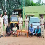 Four arrested for trying to sell elephant tusks
