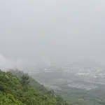 Chamundi Hill gets greener in ashadha rains