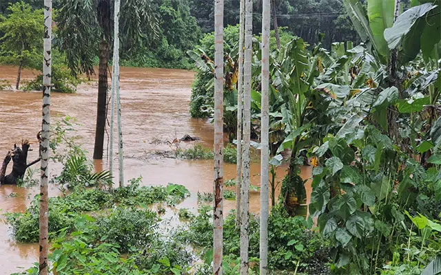 Heavy rains: Low-lying areas waterlogged