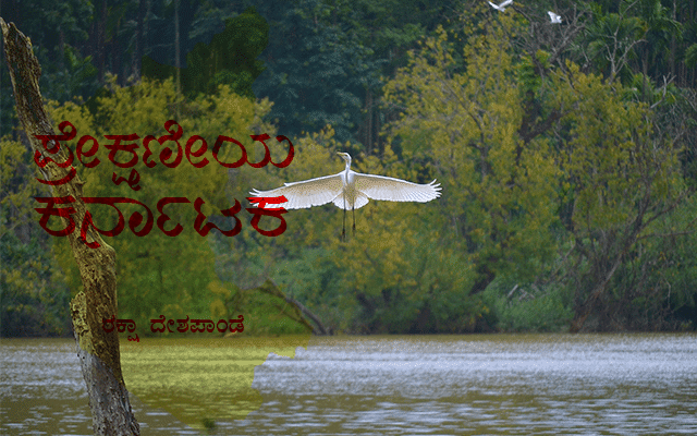 Mandagadde: Most preferred spot for bird lovers