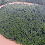 Uttara Kannada: Aghanashini river flowing above danger level