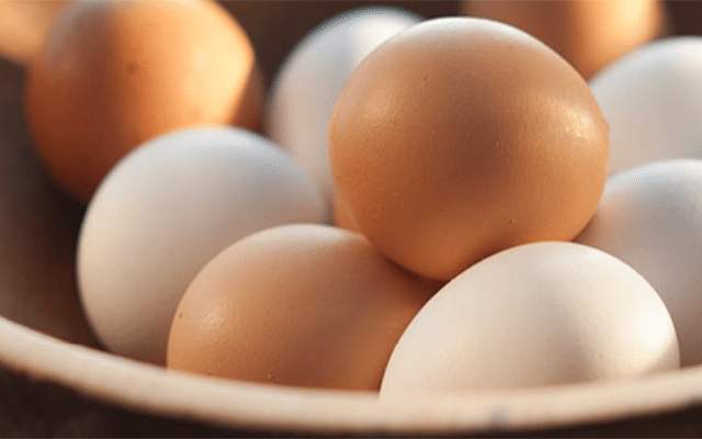  State govt to extend egg scheme to all schools across the state