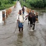 Heavy rains hit H.D. Kote