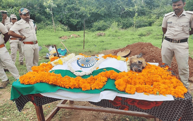 Bandipur sniffer dog Rana cremated
