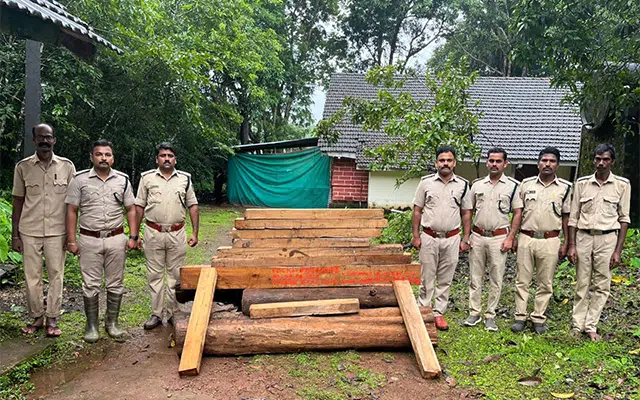 Ankola: Illegal collection of sagavani wood, officials raid