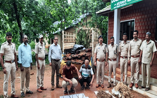 Two arrested for transporting quail horn, wood in vehicle carrying banana stalks