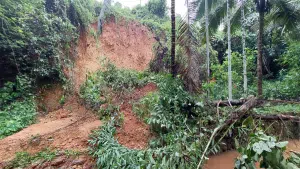 kasargod-a-hillock-collapsed-on-a-house-due-to-heavy-rains-and-partially-damaged