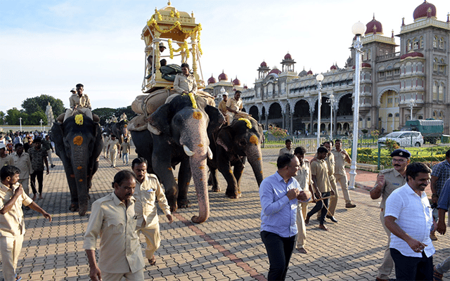 Mysore/Mysuru: Captain Abhimanyu of The Elephants has started training on wooden howdah