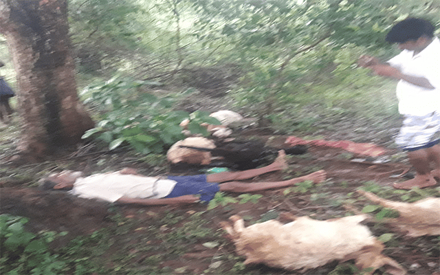 Chamarajanagar: Farmer killed in lightning strike along with sheep