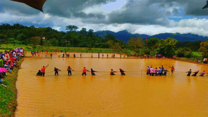 Madikeri: A grand mud-slinging event at Chettimani