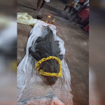 Kasargod: Anantadmanabha Swamy temple crocodile Babiya bids adieu to a long life
