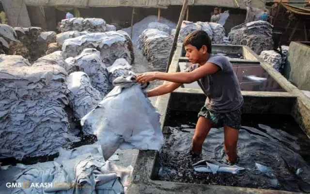 Additional Deputy Commissioner Kavitha Rajaram has ordered to create awareness about child labour.