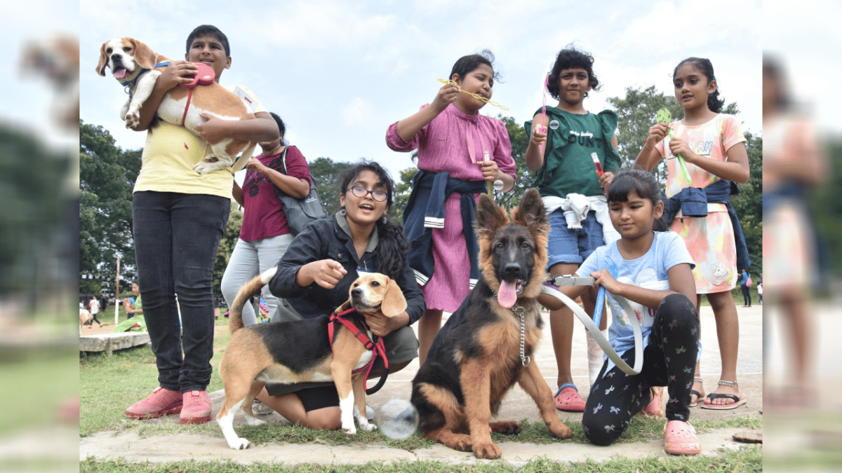 Mysuru: Charlie shines in the dog world of Dasara