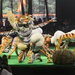 Mangaluru: 12 teams take part in tiger dance competition