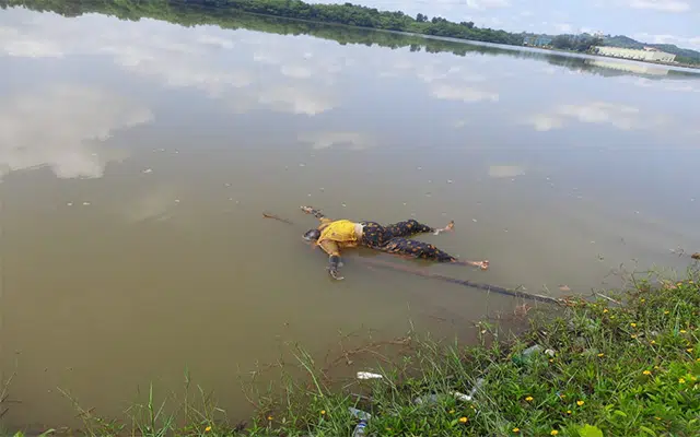 Bantwal: Body found floating in Netravathi river
