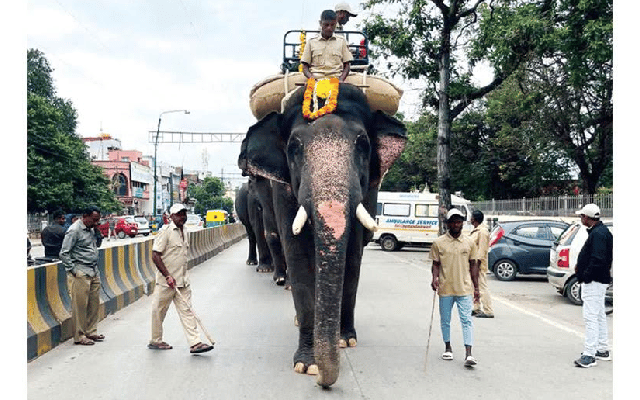 Dasara elephant Gopala swamy dies