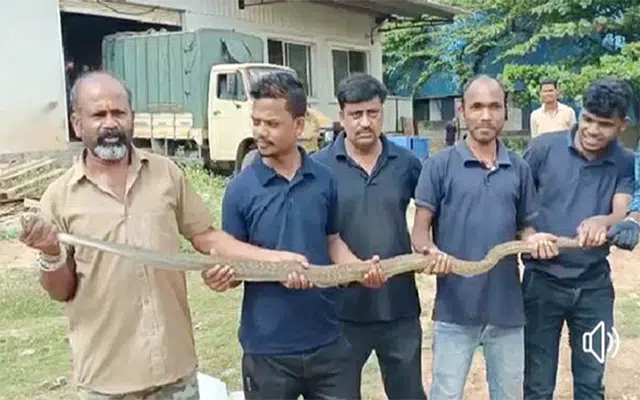 Ramanagara: Snake rescued from factory