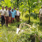 Belthangady: Forest department officials visit wild elephant-infested area