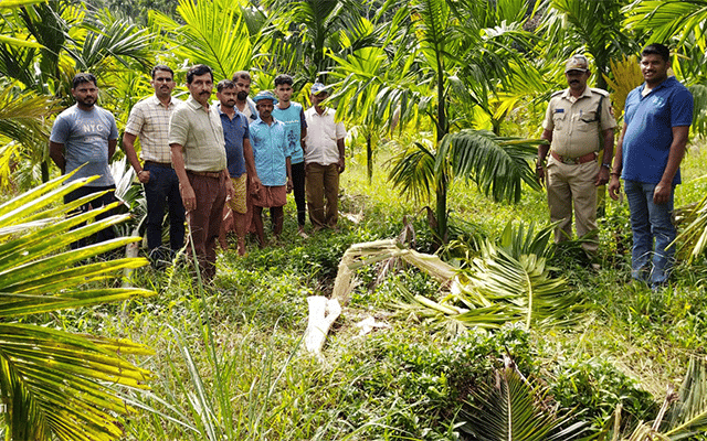 Belthangady: Forest department officials visit wild elephant-infested area