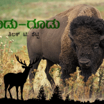 Bison, the largest surviving terrestrial animals