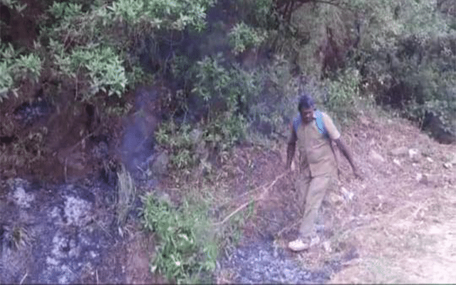 Forest fire in Charmadi Ghati forest