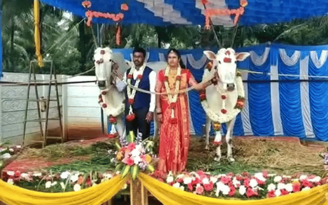 Bullocks witnessed marriage as special guests