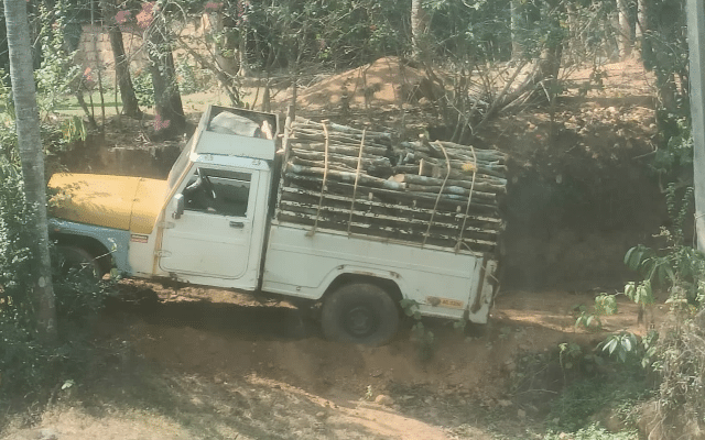 Illegal transportation of trees from Kumki land: Complaint lodged with district collector