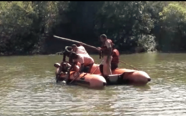Man who went to wash cow's body drowned