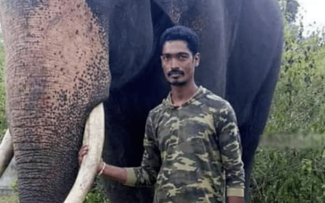 Watchman killed in wild elephant attack in Metikuppe wildlife range