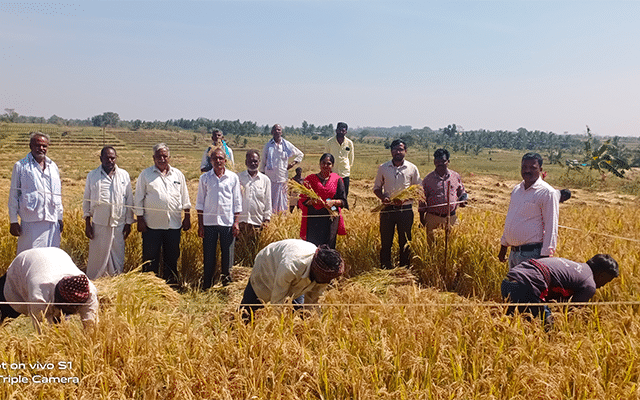 Mysore/Mysuru: It is possible to make a profit out of natural farming practices.