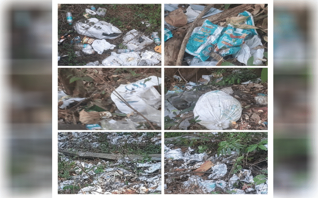 The Western Ghats in Kodagu, a garbage dump for Keralites