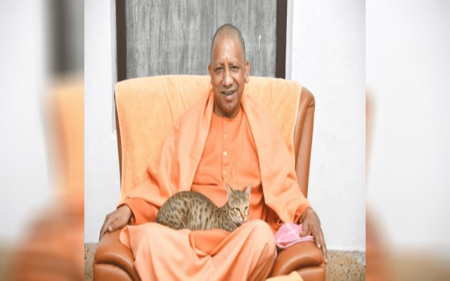 Yogi Adityanath's picture is going viral on social media