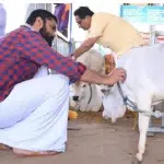 Udupi: Actor Rakshit Shetty visits Shivapadi Temple