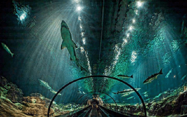 Sea Tunnel Aquarium