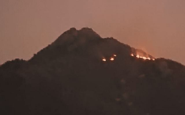 Fire breaks out at Mallikarjuna Swamy Hill, destroys huge amount of forest