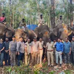 Kadaba: Wild elephant attack in Meenadi, operations launched by 5 elephants