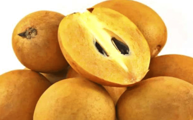 'Sapota Fruit' helps in reducing deficiencies associated with constipation