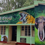 Wild animals settled in K.Gudi Information Centre