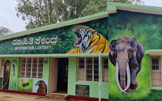 Wild animals settled in K.Gudi Information Centre