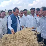 Aurad: Minister Prabhu Chauhan fails to inspect crop damage