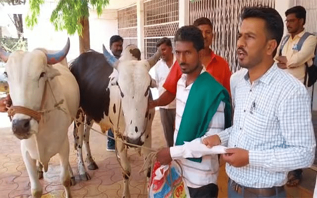 Bidar: With no money to bribe a gram panchayat officer, a farmer offers only bullocks