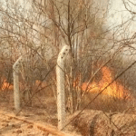 Bidar: The reserve forest area that caught fire in no time