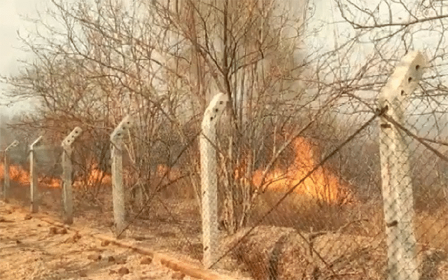 Bidar: The reserve forest area that caught fire in no time