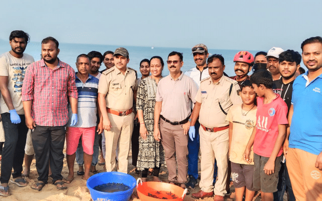 Release of preserved sea turtles in Devbhaga