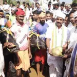 ullal-lava-kusha-jodukare-kambala-which-was-stopped-on-march-25-and-26-resumed