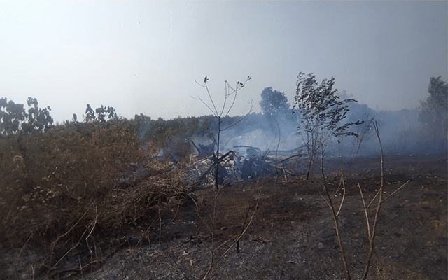 Moodbidri: Tens of acres of land gutted in fire near Kadalkere