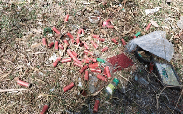Mudigere: More than 60 firing cartridges found in reserve forest area