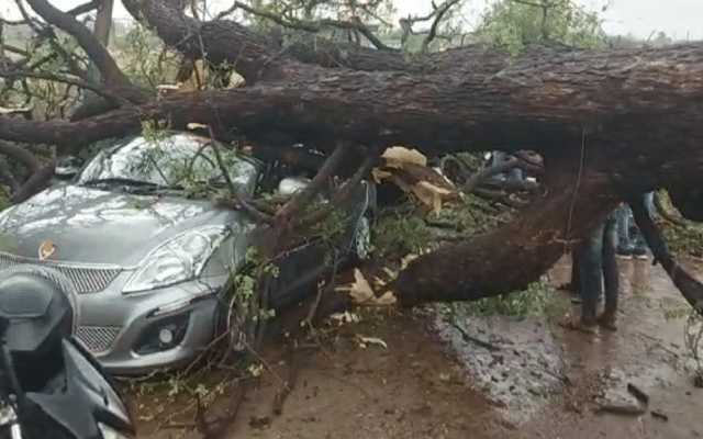 Three injured as heavy rains, trees uprooted, vehicles damaged, 3 injured