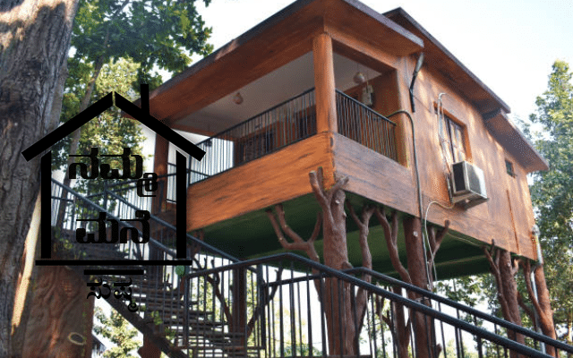 A house in a tree: A wonderful tree house